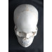 Human Skull Model, 3-part, numbered, with sutures, life size Human Skull Model, 3-part, numbered, with sutures, life size