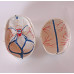 Skull Model, with Blood Vessel Painted, 3-part, Life Size Skull Model, with Blood Vessel Painted, 3-part, Life Size