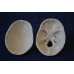 Skull, mini size