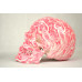 High Degree Emulation 1:1 Human Medical Skull Art Replica, 2-part, Life Size Rose White