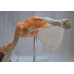Functional Shoulder Joint Model, Life Size Functional Shoulder Joint Model, Life Size