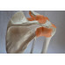 Functional Shoulder Joint Model, Life Size Functional Shoulder Joint Model, Life Size