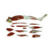 Muscular Leg Model, 13 Parts, Life Size Muscular Leg Model, 13 Parts, Life Size