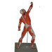 Human Muscular Figure Model, 1/4 Life Size  