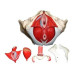 Anatomical Female Pelvis Model with Removable Organs, 6-part, Life Size Anatomical Female Pelvis Model with Removable Organs, 6-part, Life Size