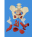 Female Pelvis Model w/ Removable Organs, 6-part, Life Size NEW