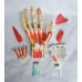 Hand Model with Ligaments, Muscles, Nerves and Arteries, 7-Part, Life Size Hand Model with Ligaments, Muscles, Nerves and Arteries, 7-Part, Life Size