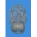 Skull Model, Transparent, Life Size