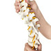 Anatomical Classic Spine Model with Femur Heads Anatomical Classic Spine Model with Femur Heads